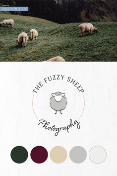 the fuzzy sheep photography logo is shown in three different colors, including black and white