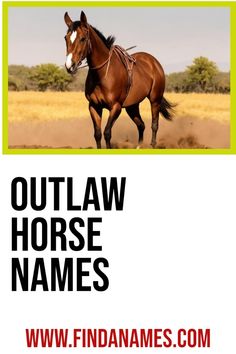 a brown horse standing on top of a field next to a green and white sign