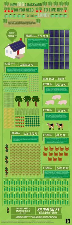 a green poster with many different things in the field and numbers on it's sides