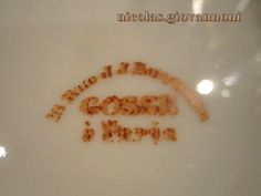 the word gourmet written in brown on a white plate with an orange border