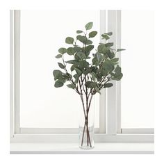 a vase filled with green leaves on top of a window sill