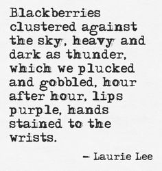 Blackberry Bramble, Thunder Moon, Blackberry Picking, Blackberry Wine, Blackberry Farm, American Honey, Blackberry Farms, A Quiet Life, Angel Guide