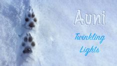 an animal's paw prints in the snow with words that spell out, thinking lights