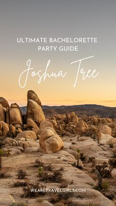 The Ultimate Joshua Tree Bachelorette Party Guide Bachelorette Joshua Tree, Bachelorette Party Joshua Tree, Joshua Tree Birthday Party, Desert Disco Bachelorette Party, Joshua Tree Bachelorette Party, Joshua Tree Bachelorette, Bachelorette Activities, Joshua Tree Hikes, Desert Bachelorette Party