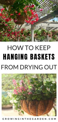 hanging baskets filled with flowers and text overlaying how to keep hanging baskets from drying out