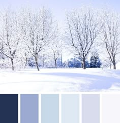 the color scheme is blue and white, with trees in the snow on either side