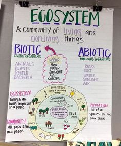 a white board with writing on it that says ecosytem and an arrow pointing to the center