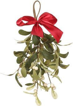 a red bow hanging from the top of a mist plant with white berries and green leaves