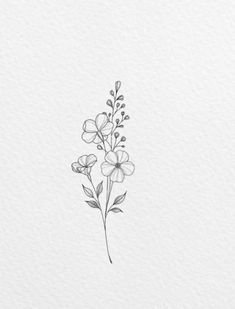 a drawing of some flowers on a white paper