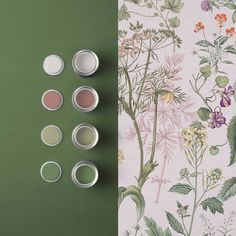 four different shades of paint next to each other on a green surface with flowers and leaves