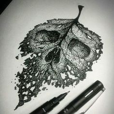 an ink drawing of a leaf and two pens