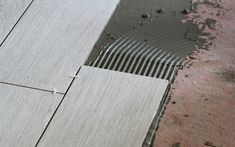 a dog is standing on the sidewalk next to a drain