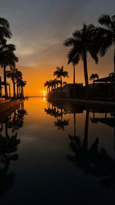 Sunset photography 
Resort
Infinity pool
Sunset 
Photography 
Palm trees Silversands Grenada, Grenada Island, Caribbean Summer, 2024 Holidays, Tropical Travel Destinations, Christmas Cruise, Christmas Cruises