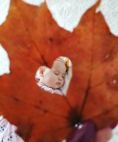 a baby sleeping on top of a large leaf