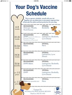 Puppy Shot Schedule, Dog Shots, Puppy Mom