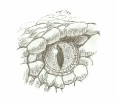 a pencil drawing of an eyeball in the shape of a hand with its eyes open