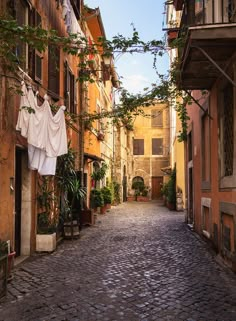 an alley way with clothes hanging out to dry on the clothesline and potted plants