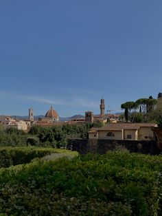 the city is surrounded by greenery and trees