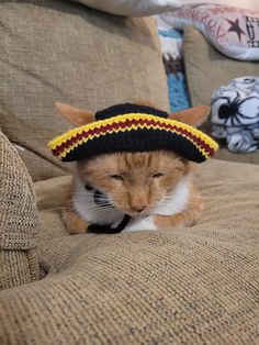 an orange and white cat wearing a hat on top of it's head sitting on a couch