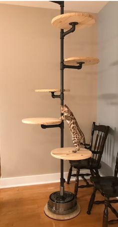 a giraffe standing on top of a wooden table next to a black chair