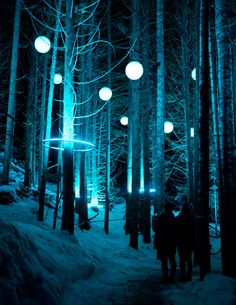 two people standing in the middle of a forest at night with glowing lights on them