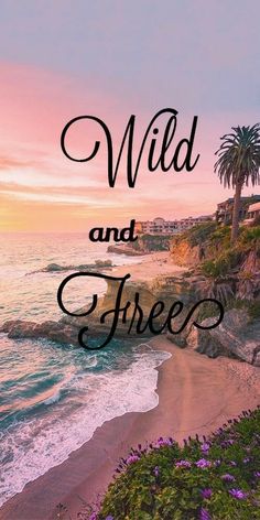 the words wild and free are in front of an image of a beach with palm trees