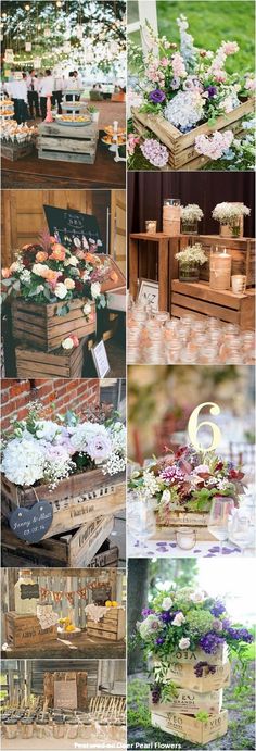 many different pictures of flowers and plants in wooden boxes on the ground, with text overlay