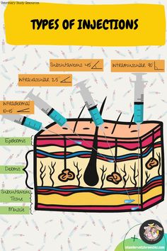 the types of injections are shown in this diagram, and there is also information about them