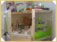 a wooden cabinet filled with lots of food and veggies on top of it