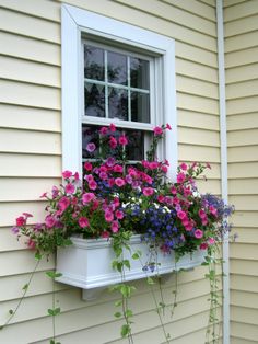 a window box filled with purple and pink flowers