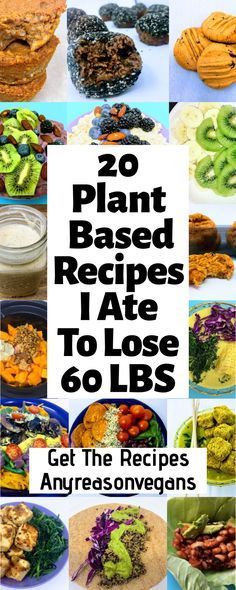 Plant Based Diet Meals, Plant Based Diet Meal Plan, Plant Based Recipes Breakfast, Healthy Vegan Recipes, Plant Based Snacks, Healthy Plant Based Recipes, Vegan Meal Plans