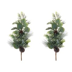 two pine cones with green leaves and greenery on them are placed next to each other