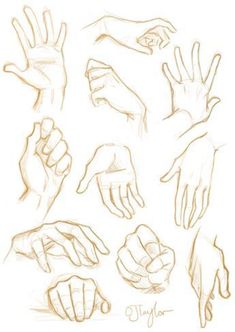 several hands are shown with different gestures and positions in the drawing style, including one pointing at