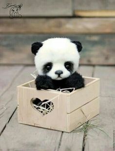 a stuffed panda bear sitting in a wooden box on the ground with caption that reads, i save