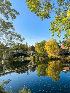 a bridge over a body of water surrounded by trees and leaves in the foreground