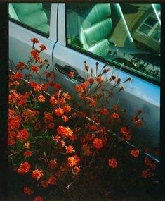 an old car parked next to some flowers