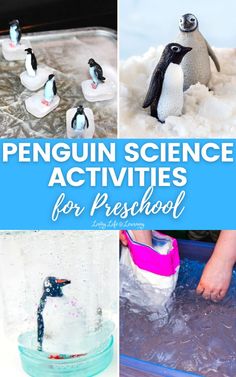 penguin science activities for preschool and homeschool