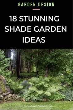 Shade Garden Ideas, Shade Gardening, Green Gardens, Backyard Layout, Ferns Garden, Shade Garden Plants