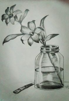 a pencil drawing of flowers in a jar