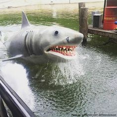 a fake shark is in the water near a dock