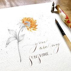 a watercolor drawing of a sunflower with the words, give me sunshine