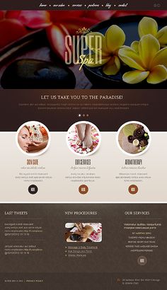 the website design for sushi spa