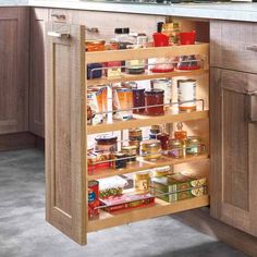 an open cabinet in a kitchen filled with spices and condiments on the bottom shelf