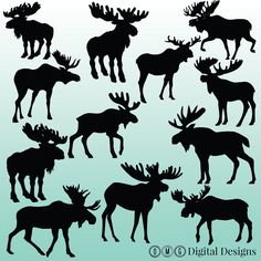 moose silhouettes are shown in black against a blue background