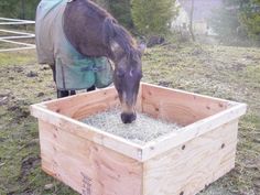 a horse eating hay in a wooden box