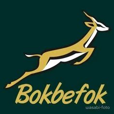 the logo for bokbefox is shown in gold and white on a dark green background