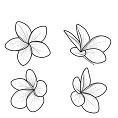 four flowers with leaves in the middle and one flower on the other side, drawn by hand