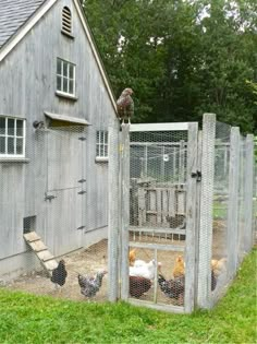 an instagramted photo of a chicken coop