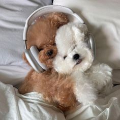 two teddy bears are laying in bed with headphones on their ears and one has its eyes closed