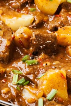 meat and potatoes stew in a pan with green onions on the side, ready to be eaten